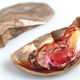 Bioreactor-grown oysters on the half shell, via Bistro in Vitro